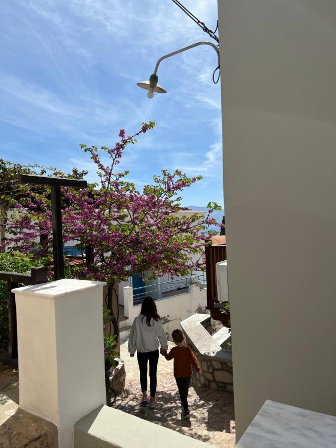 Luca'S Houses Chalki Town エクステリア 写真